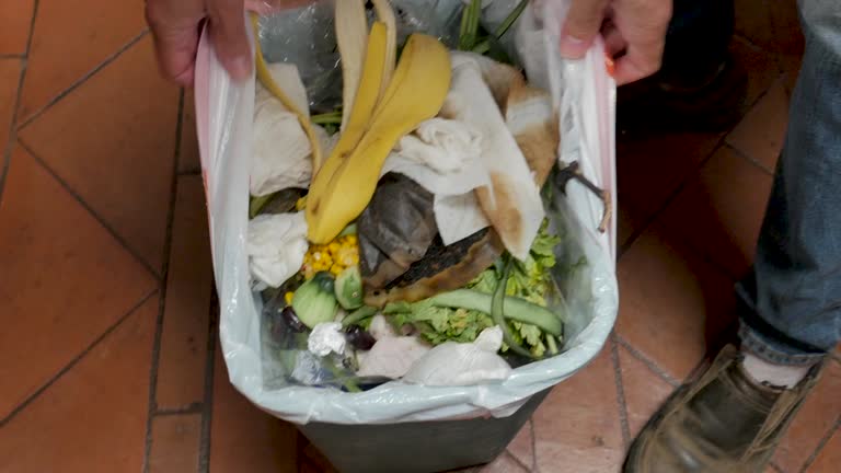 Best Dumpster Rental Services  in Massanutten, VA